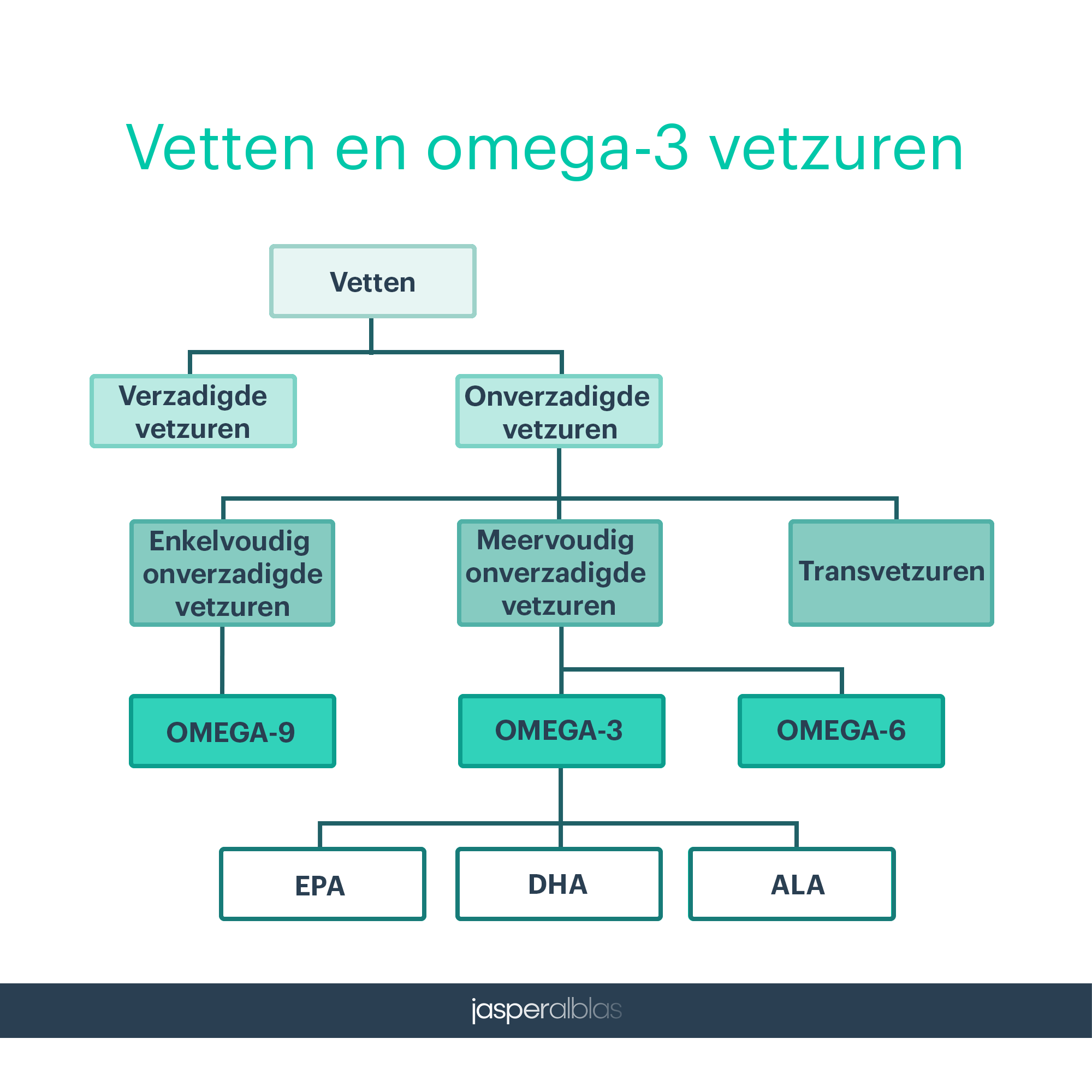 Profetie sensor intellectueel Omega-3: Wat is het en waarom heb je het nodig - Jasperalblas.nl